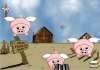 If Pig s Can Fly Then Pigs Mus